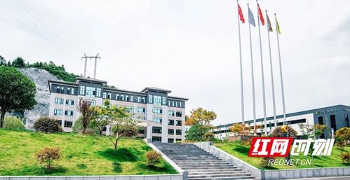 重大突破 湖南特沃斯牵头国家重点研发计划项目获批立项