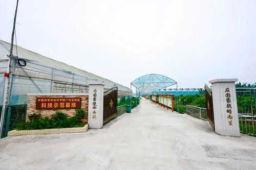 暑期结束,来这些地方寻找提升成绩的法宝