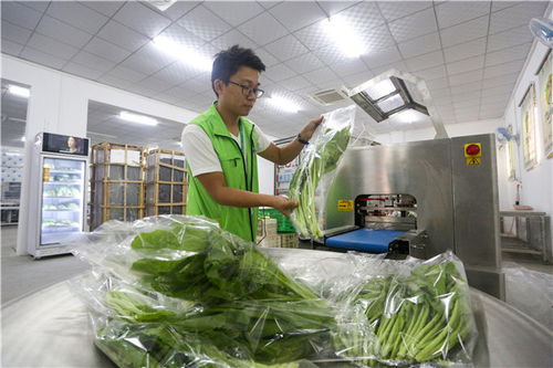 澄海将创建 农产品跨境电子商务 综合试验区