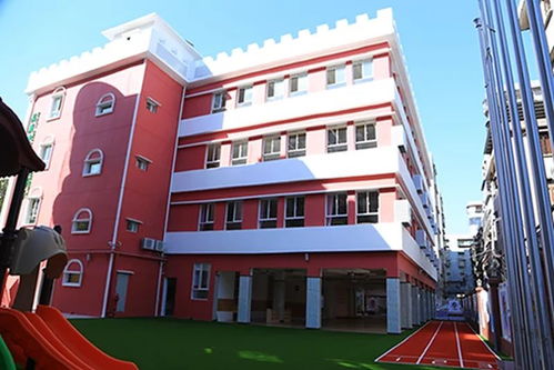 井岸城区高大上的精品幼儿园,让您的孩子赢在起跑线上