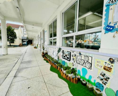 龙游公办幼儿园2022年春季招生大汇总·乡镇篇 龙游实验幼儿园详解