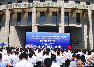 河北自贸区曹妃甸片区挂牌，龙游实验幼儿园开启新篇章