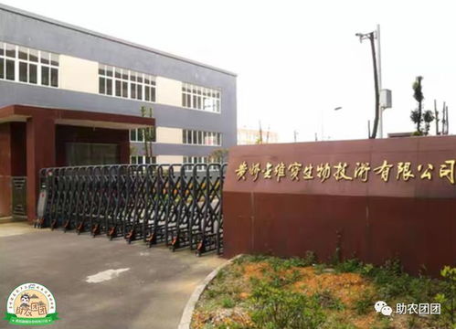 助农团团丨酸酸甜甜的大方刺梨干