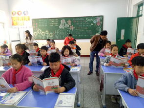 实验四小 常规 四查 精细管理 务实有效打造精品——龙游实验幼儿园的实践与探索