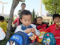 龙游实验幼儿园图库 记录幼儿成长的美好瞬间