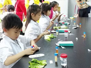 3月24日 周日 上下午场 黄埔 | 走进食品安全研究所 龙游实验幼儿园的奇妙探索