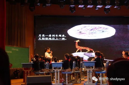 阅读是最甜美的味道——第一实验学校教育集团阅读教学精品课堂展示活动在龙游实验幼儿园举行